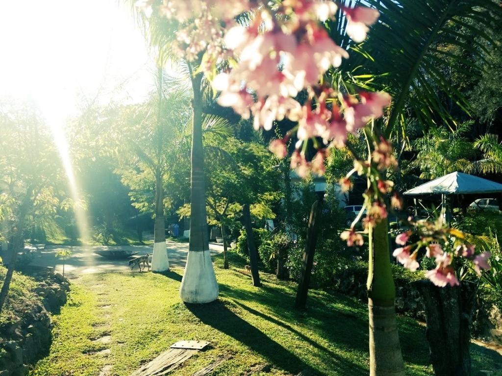 Pousada Valle Das Aguas Maria da Fe Ngoại thất bức ảnh